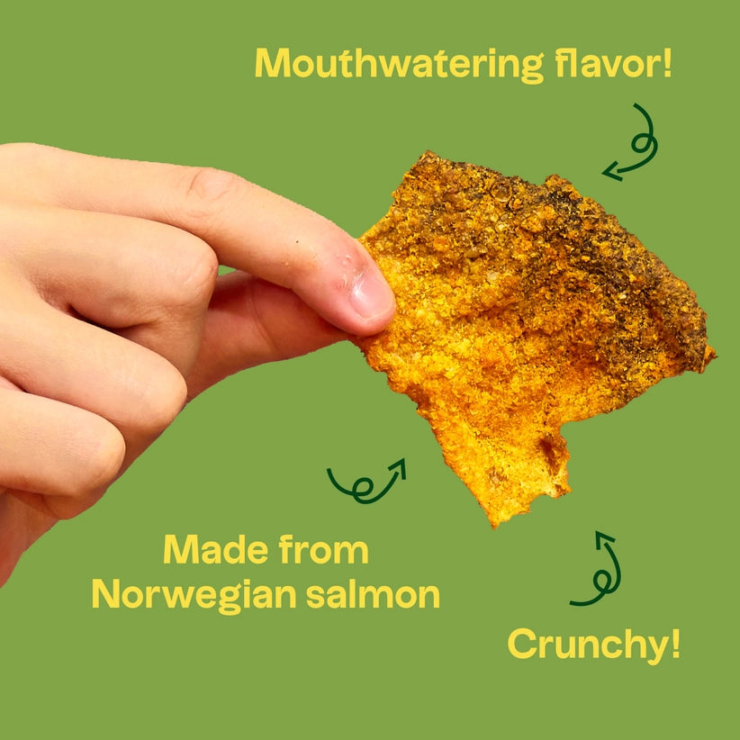 Salmon Chips (4 flavors)